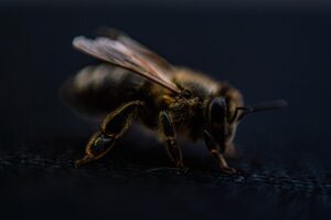男の脱毛でモテるための方法は？