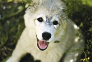 男の脱毛で美意識を高める方法とは？