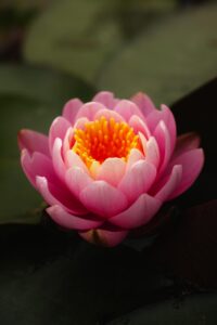 メンズ脱毛の恥ずかしさを解消するための対策は？